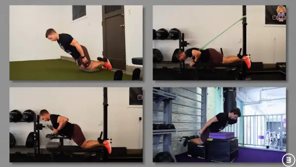 Nordic Hamstring Curl - Technika, progresja i efekty